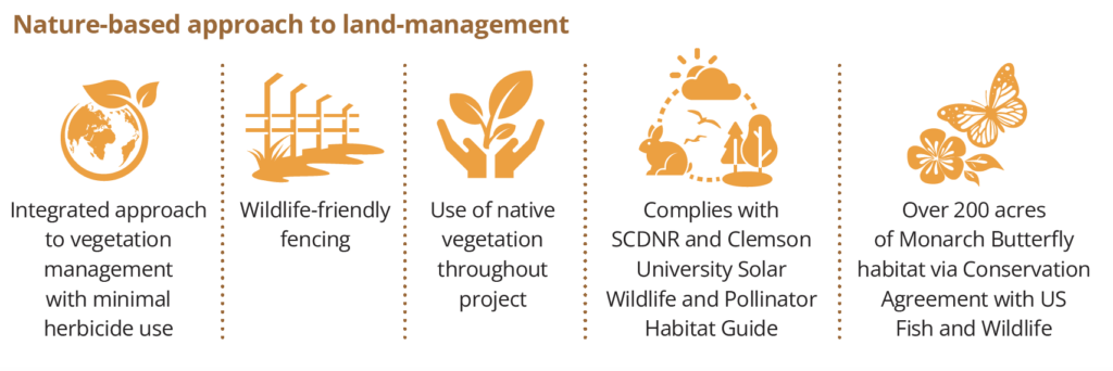 nature based approach